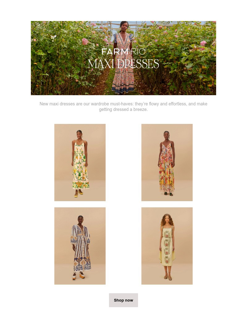 Screenshot of email with subject /media/emails/pov-you-found-the-maxi-dress-02a1a1-cropped-c71779d0.jpg