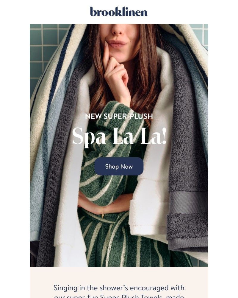 Screenshot of email with subject /media/emails/pov-you-have-the-spa-at-home-d64424-cropped-e789167f.jpg