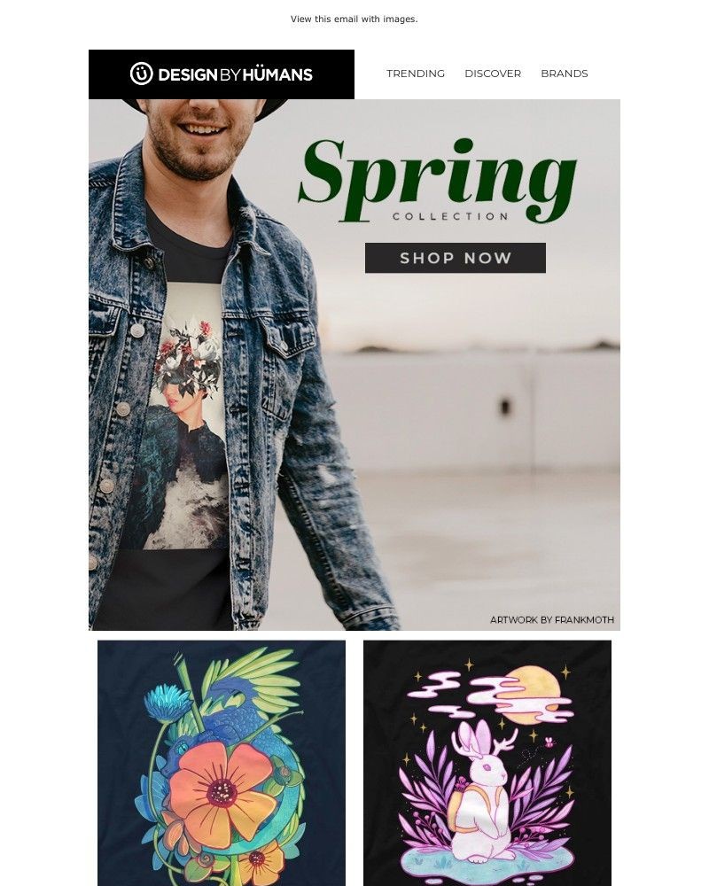 Screenshot of email with subject /media/emails/power-to-the-flower-spring-tees-881ebf-cropped-89d4616c.jpg