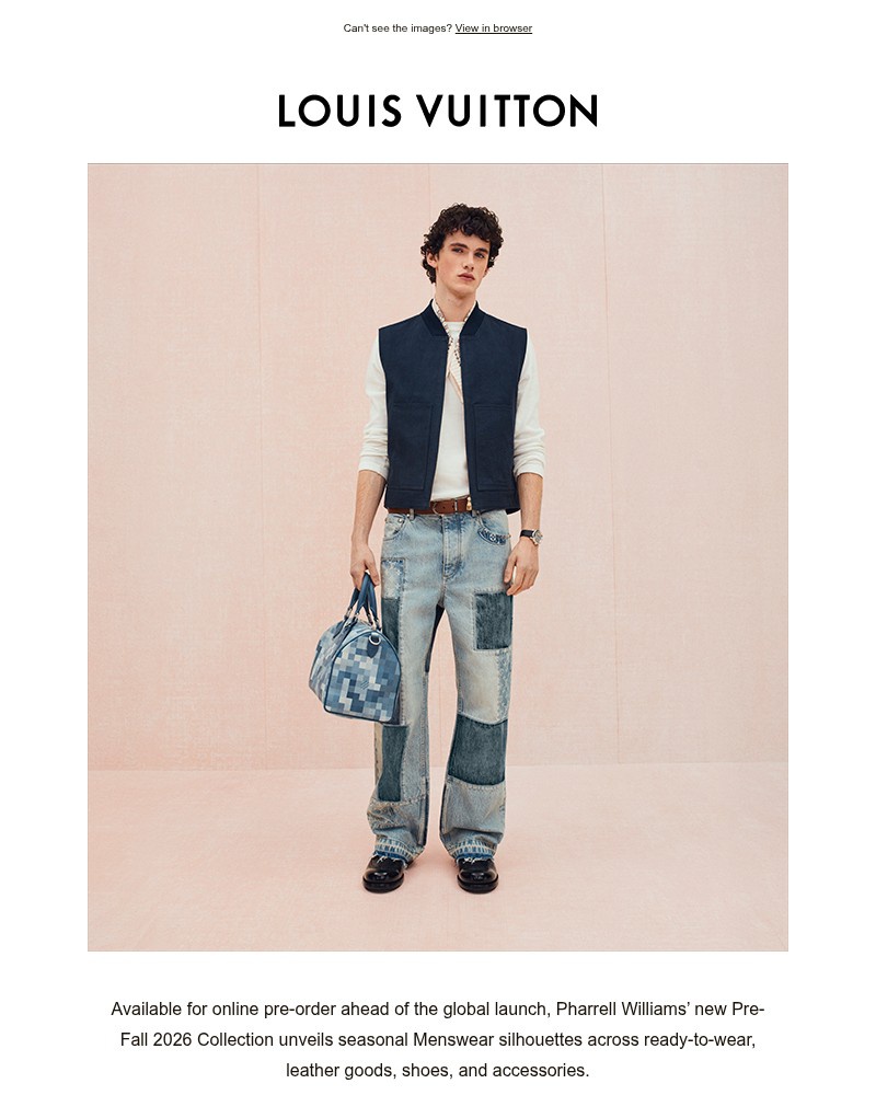 Screenshot of email sent to a Louis Vuitton Newsletter subscriber