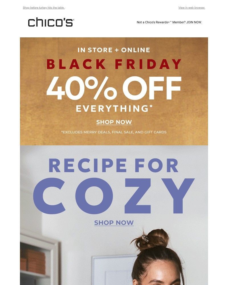 Screenshot of email with subject /media/emails/pre-thanksgiving-fun-40-off-f668b7-cropped-d1dbd0d8.jpg