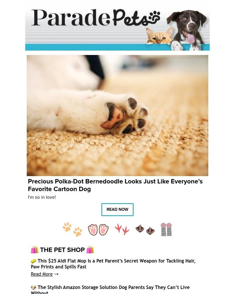 Screenshot of email sent to a Parade Newsletter subscriber