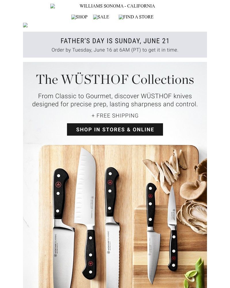 Screenshot of email with subject /media/emails/precision-starts-with-wusthof-a060f2-cropped-335d6078.jpg