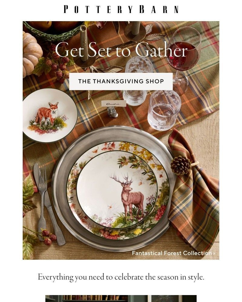 Screenshot of email with subject /media/emails/prep-for-thanksgiving-guest-ready-must-haves-21f593-cropped-7a9fda5c.jpg