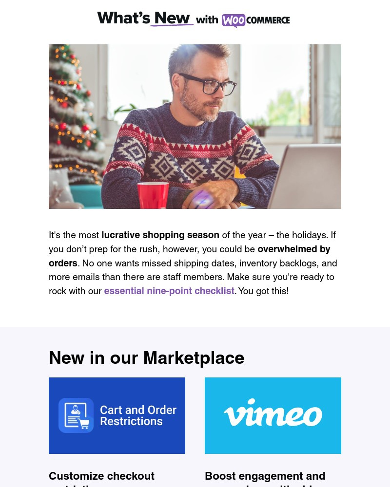 Screenshot of email with subject /media/emails/prep-your-store-for-the-holidays-with-our-essential-checklist-16d069-cropped-0ce8a1e4.jpg