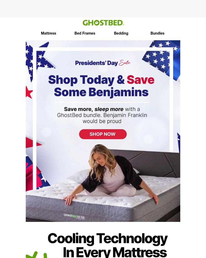 Screenshot of email with subject /media/emails/presidents-day-blowout-sale-1ba01c-cropped-40170673.jpg