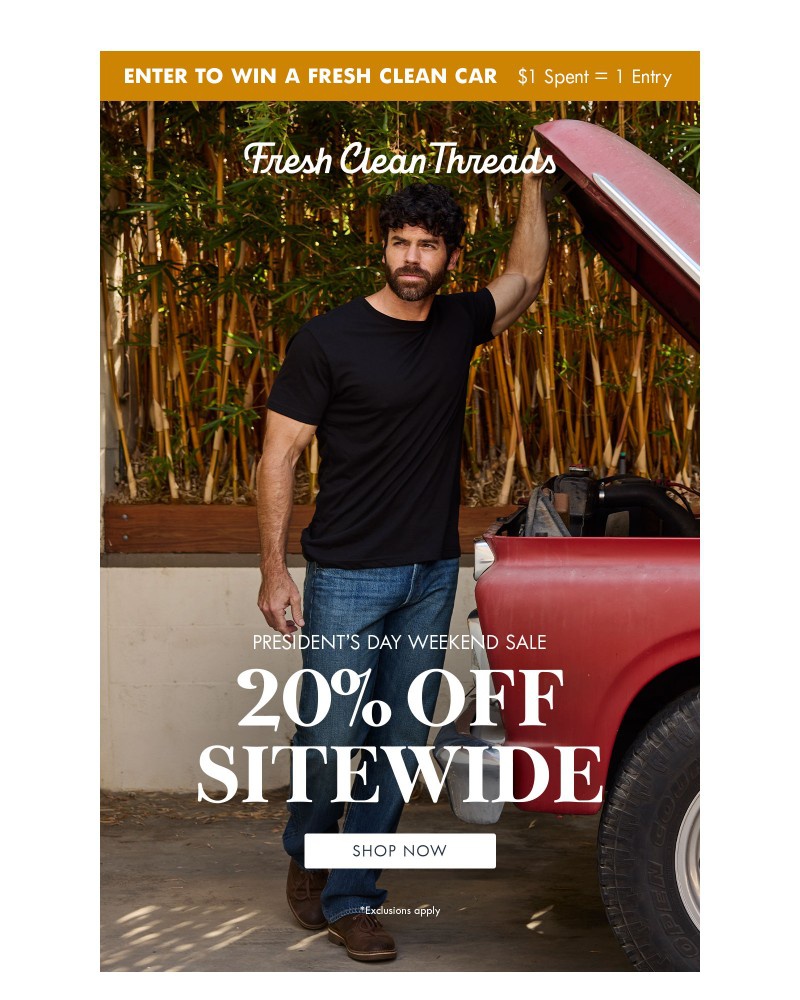 Screenshot of email with subject /media/emails/presidents-day-sale-e4d6e3-cropped-9a7017db.jpg