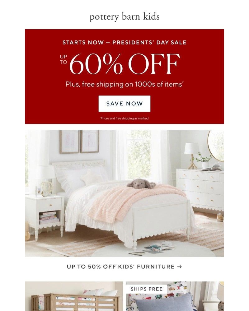 Screenshot of email with subject /media/emails/presidents-day-sale-starts-now-5b6b98-cropped-714e2a1a.jpg