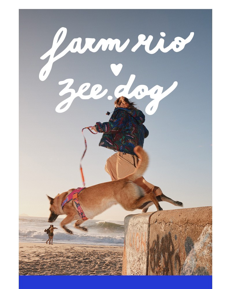 Screenshot of email with subject /media/emails/preview-our-dog-collection-that-is-coming-soon-219aa0-cropped-c2103e24.jpg