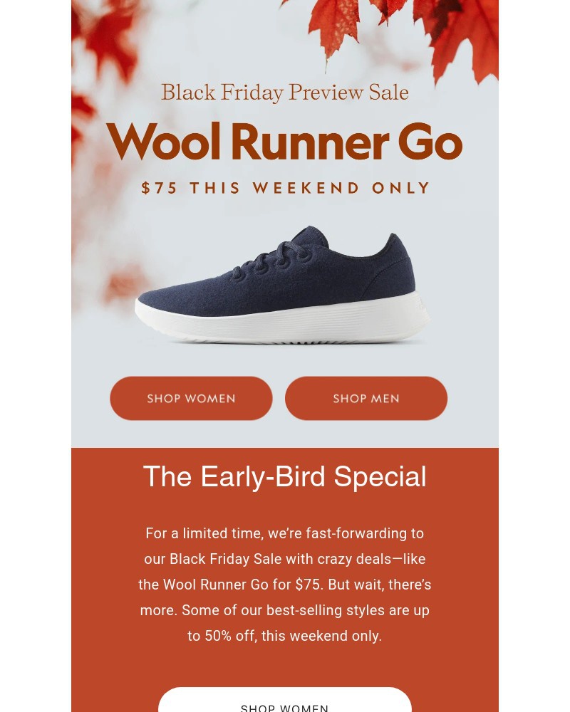 Screenshot of email with subject /media/emails/preview-sale-is-happening-now-d28520-cropped-69a8e4fd.jpg