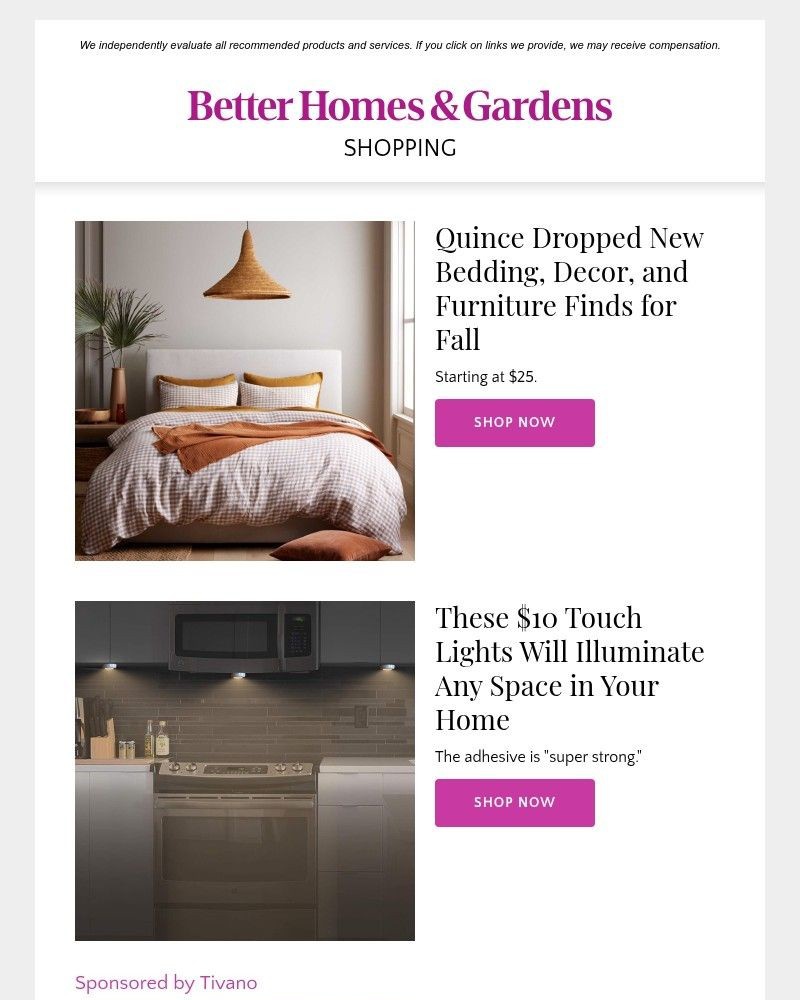 Screenshot of email with subject /media/emails/price-drop-the-steamer-that-banishes-wrinkles-effortlessly-99a2bc-cropped-e9554d89.jpg