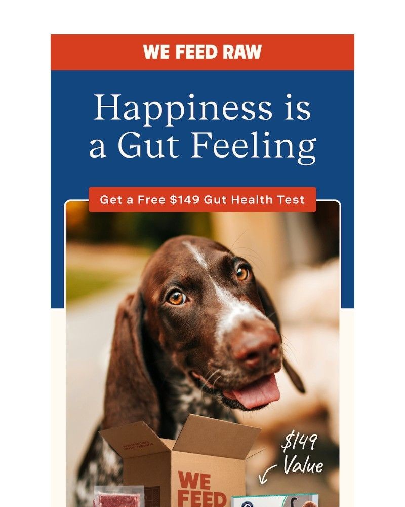 Screenshot of email with subject /media/emails/primo-149-gift-sound-good-cbaac4-cropped-4dc6327d.jpg