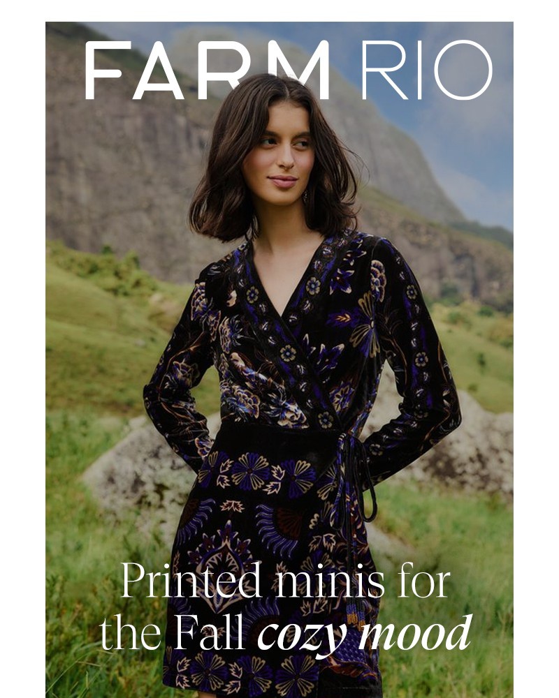 Screenshot of email with subject /media/emails/printed-minis-for-the-fall-cozy-mood-b5272b-cropped-c2cc7db4.jpg