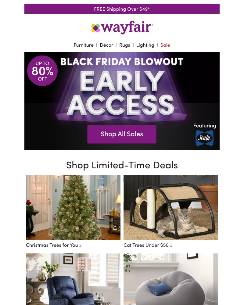 Screenshot of email with subject /media/emails/private-access-black-friday-blowout-cropped-aaf088b9.jpg