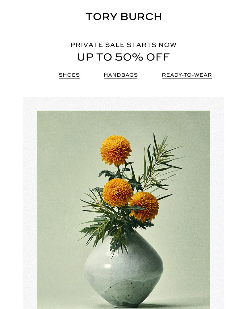 Screenshot of email with subject /media/emails/private-sale-starts-now-8ea221-cropped-84747e02.jpg