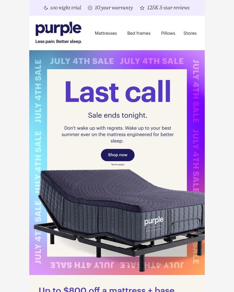 Screenshot of email sent to a Purple Cart abandoner