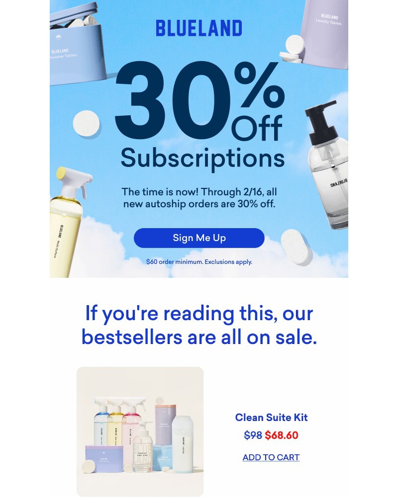 Screenshot of email sent to a Blueland Newsletter subscriber