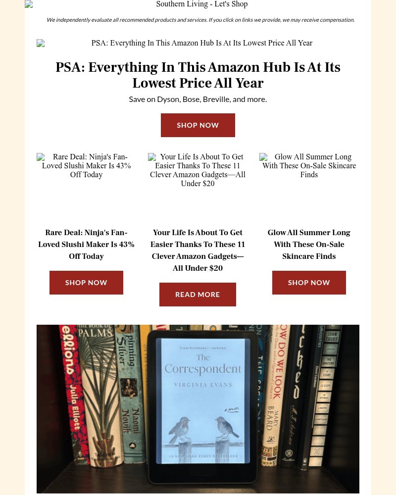 Screenshot of email with subject /media/emails/psa-everything-in-this-amazon-hub-is-at-its-lowest-price-all-year-cf41b5-cropped-52774b0a.jpg