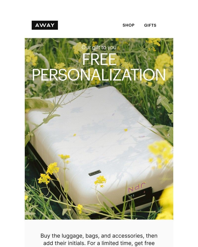 Screenshot of email with subject /media/emails/psa-free-personalization-on-100-84e5c3-cropped-b0184ea7.jpg