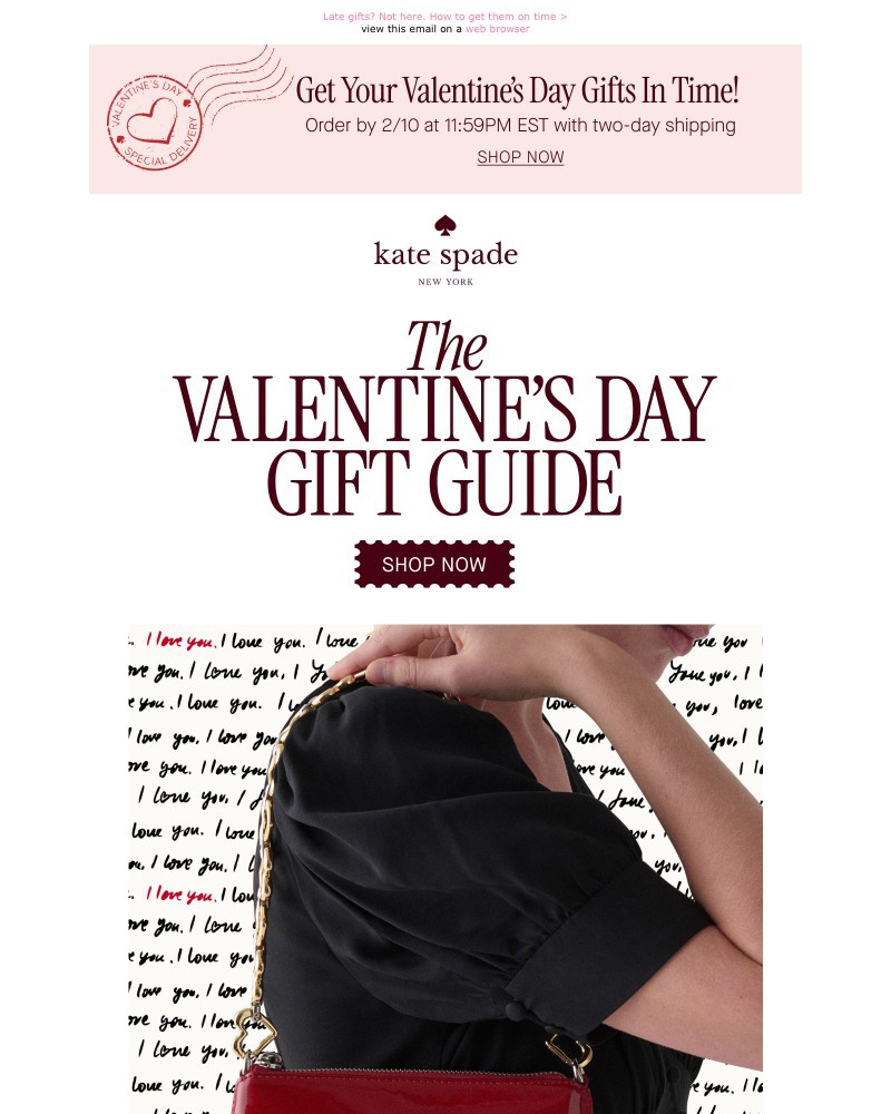 Screenshot of email with subject /media/emails/psa-one-week-till-valentines-day-1d2d5d-cropped-5f504566.jpg