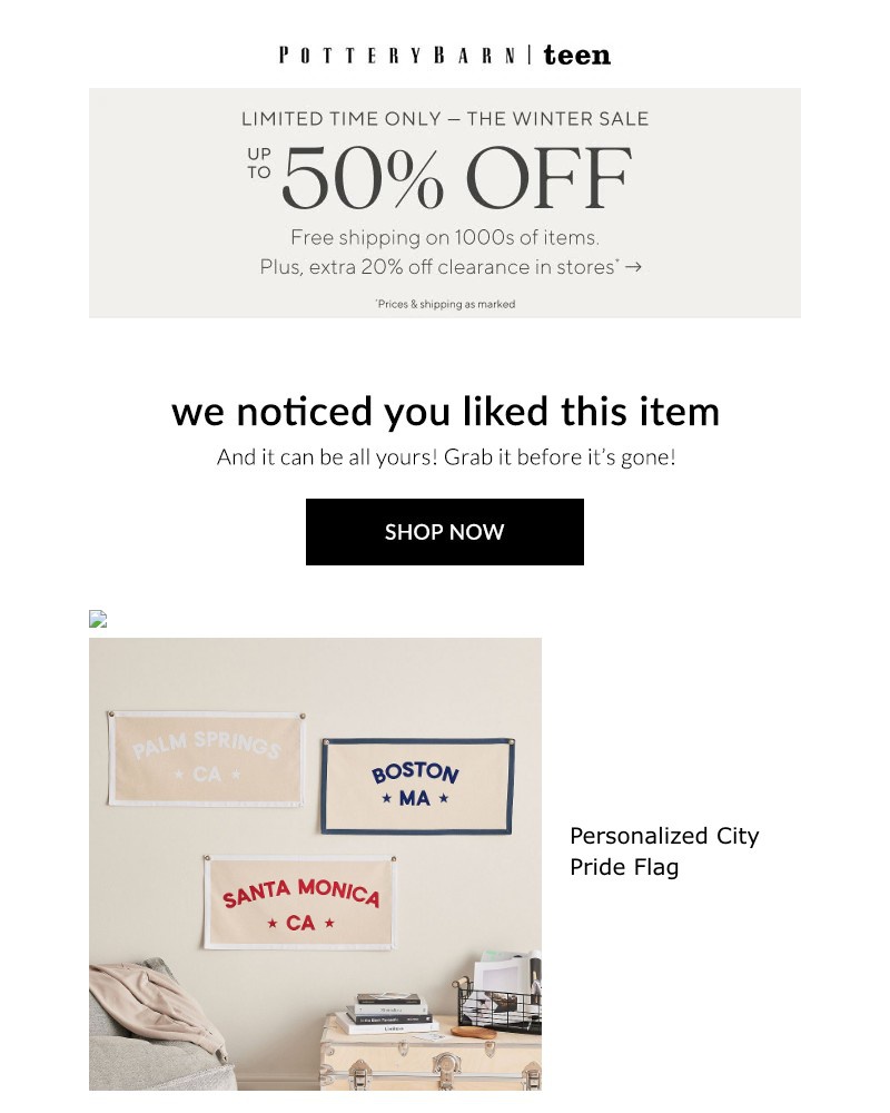 Screenshot of email sent to a Pottery Barn Cart abandoner