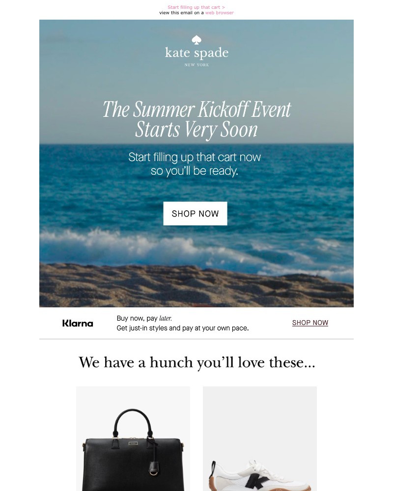 Screenshot of email sent to a Kate Spade Newsletter subscriber