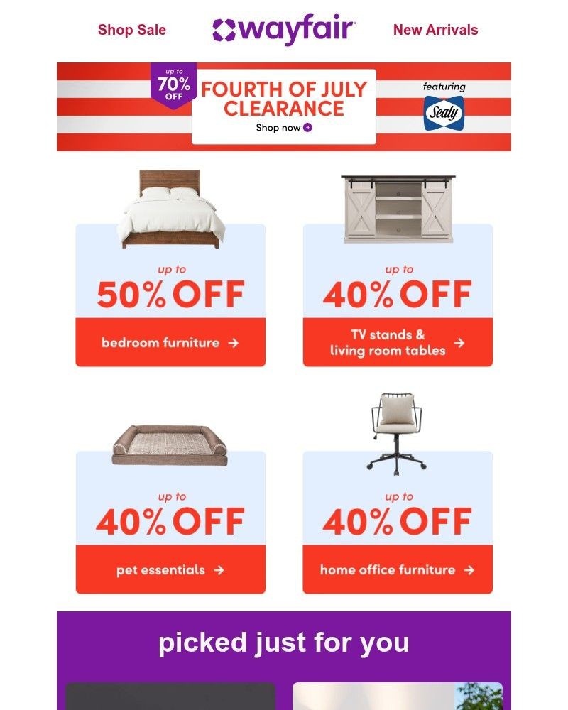 Screenshot of email sent to a Wayfair Newsletter subscriber