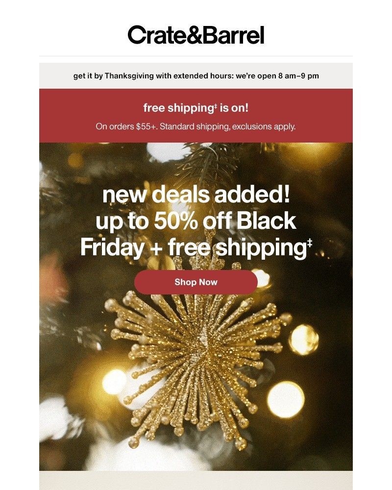 Screenshot of email sent to a Crate & Barrel Newsletter subscriber