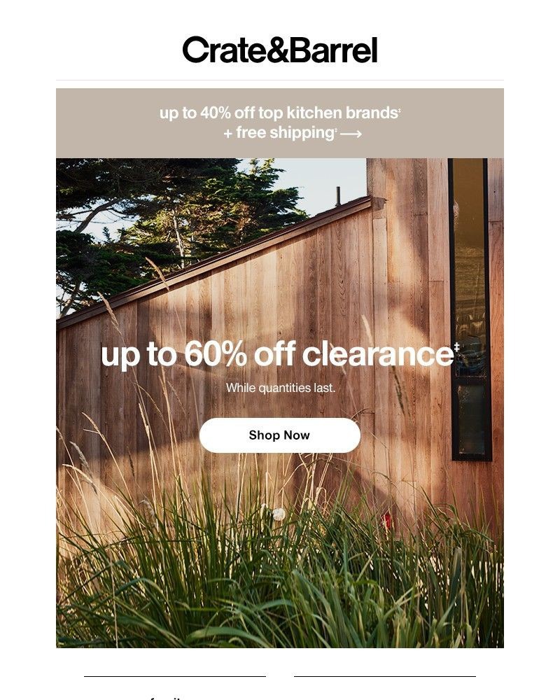 Screenshot of email with subject /media/emails/psst-something-gorgeous-just-got-marked-down-1eec37-cropped-d77bd2ce.jpg