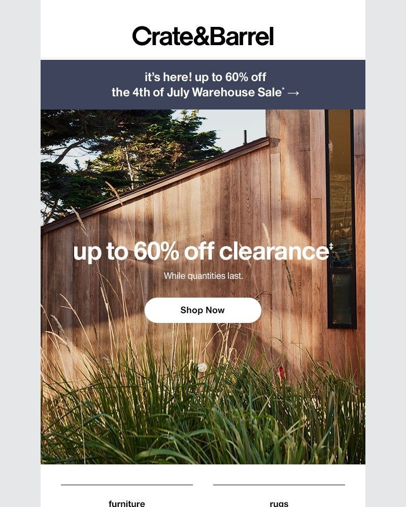 Screenshot of email with subject /media/emails/psst-something-gorgeous-just-got-marked-down-e951b3-cropped-d38900ce.jpg