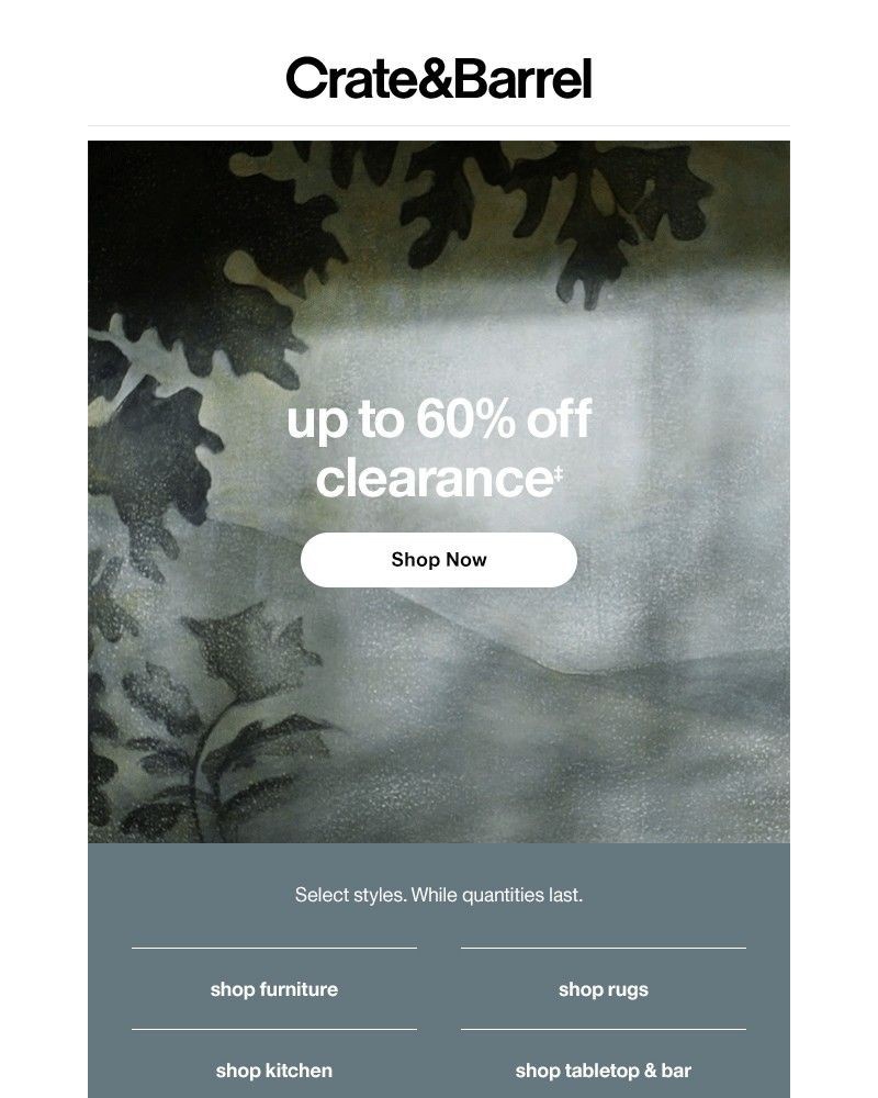 Screenshot of email with subject /media/emails/psst-something-special-just-hit-up-to-60-off-6e7d19-cropped-05eee566.jpg