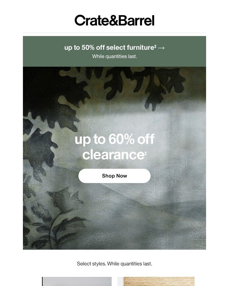 Screenshot of email with subject /media/emails/psst-something-special-just-hit-up-to-60-off-7b9d26-cropped-479c7f33.jpg