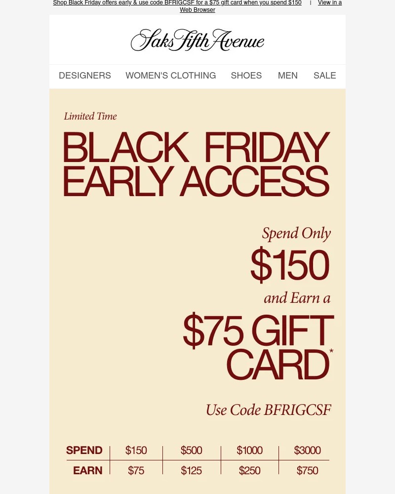 Screenshot of email sent to a Saks Fifth Avenue Newsletter subscriber