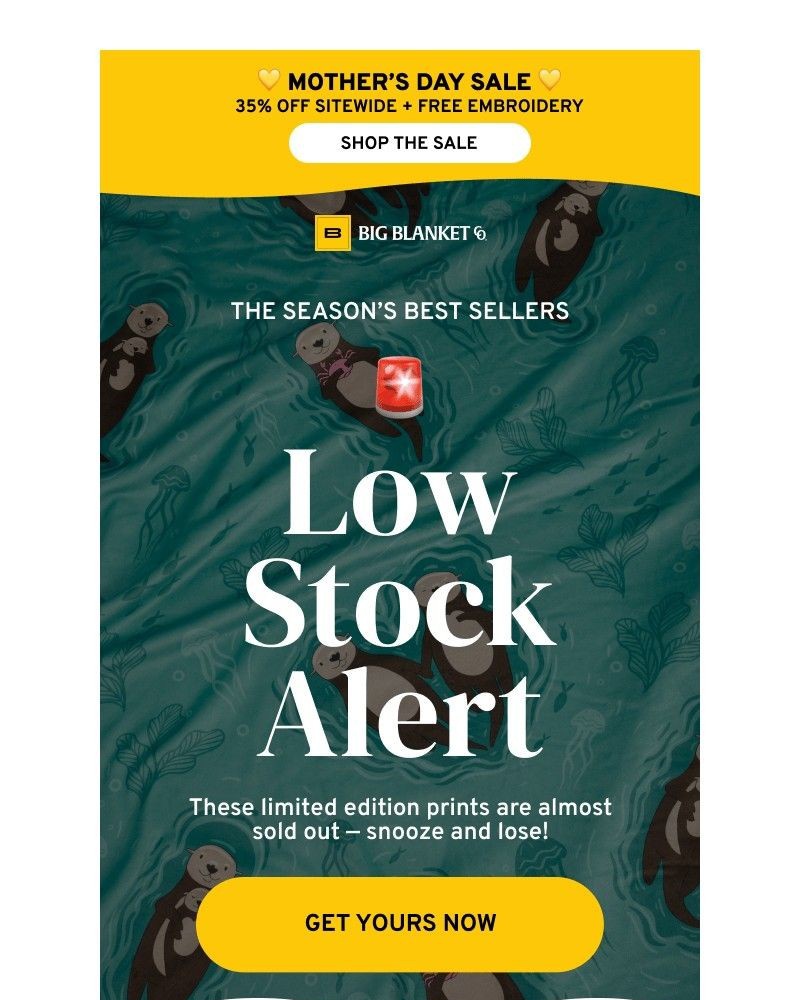 Screenshot of email sent to a Big Blanket Co. Newsletter subscriber
