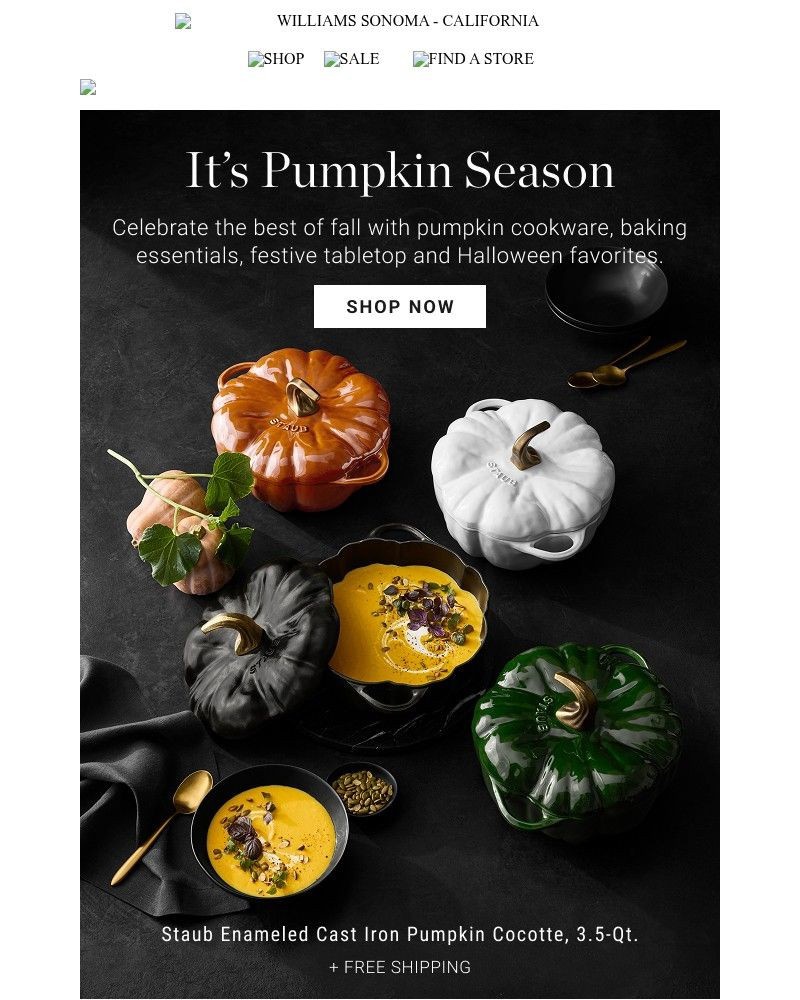 Screenshot of email with subject /media/emails/pumpkin-favorites-have-arrived-9dff00-cropped-879483f7.jpg
