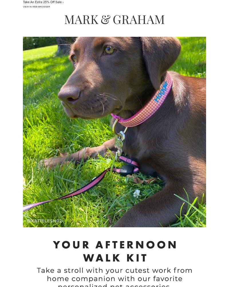 Screenshot of email with subject /media/emails/puppy-love-a-sale-you-wont-want-to-miss-f5e2bd-cropped-6a7551b8.jpg