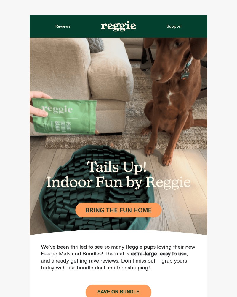 Screenshot of email with subject /media/emails/pups-cant-get-enough-of-their-feeder-mats-818a96-cropped-7746d6c9.jpg