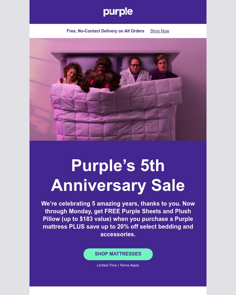 Screenshot of email with subject /media/emails/purples-5th-anniversary-sale-starts-now-b74b9c-cropped-13846786.jpg