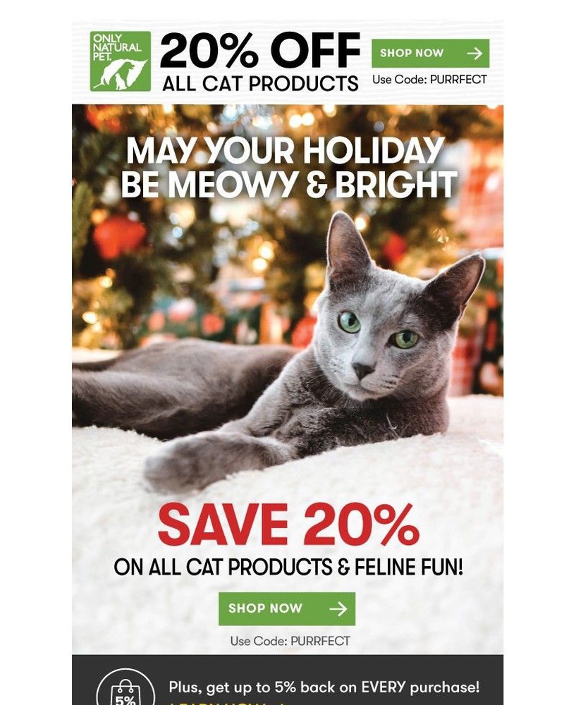 Screenshot of email with subject /media/emails/purr-fect-presents-await-20-off-cat-475e25-cropped-5448d53d.jpg