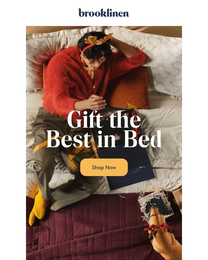 Screenshot of email with subject /media/emails/put-a-bed-under-the-tree-1f2b18-cropped-7fd97bf3.jpg