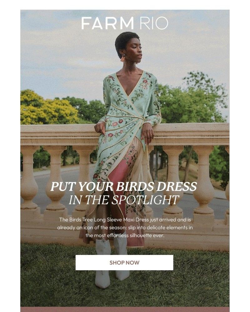 Screenshot of email with subject /media/emails/put-your-new-dress-in-the-spotlight-e1ccbe-cropped-22b369ad.jpg
