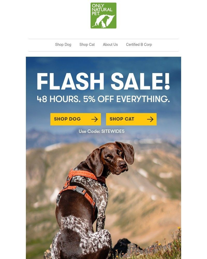 Screenshot of email sent to a Only Natural Pet Newsletter subscriber