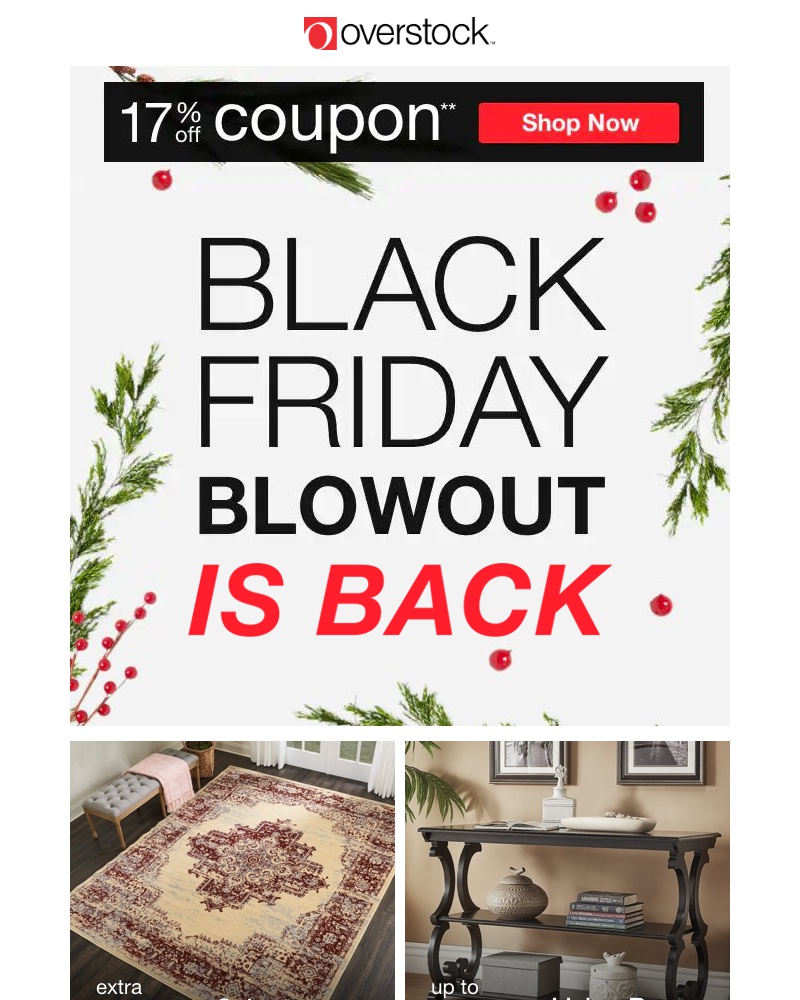 Screenshot of email with subject /media/emails/quick-black-friday-is-back-best-sellers-are-on-sale-now-snag-your-17-off-coupon-c_xceJMNc.jpg
