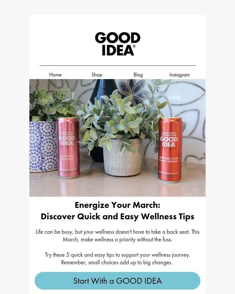 Screenshot of email sent to a Good Idea Newsletter subscriber