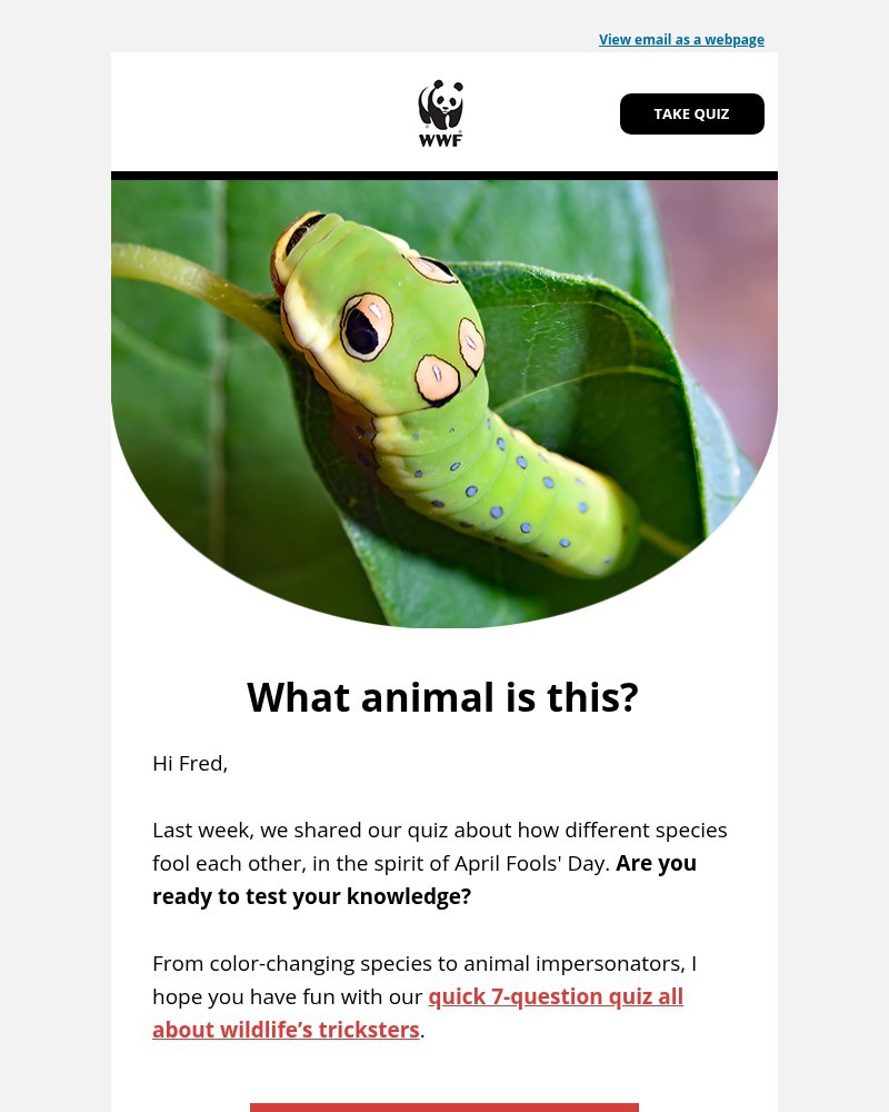 Screenshot of email with subject /media/emails/quiz-can-you-get-all-7-questions-right-18cde5-cropped-72b3ea8f.jpg