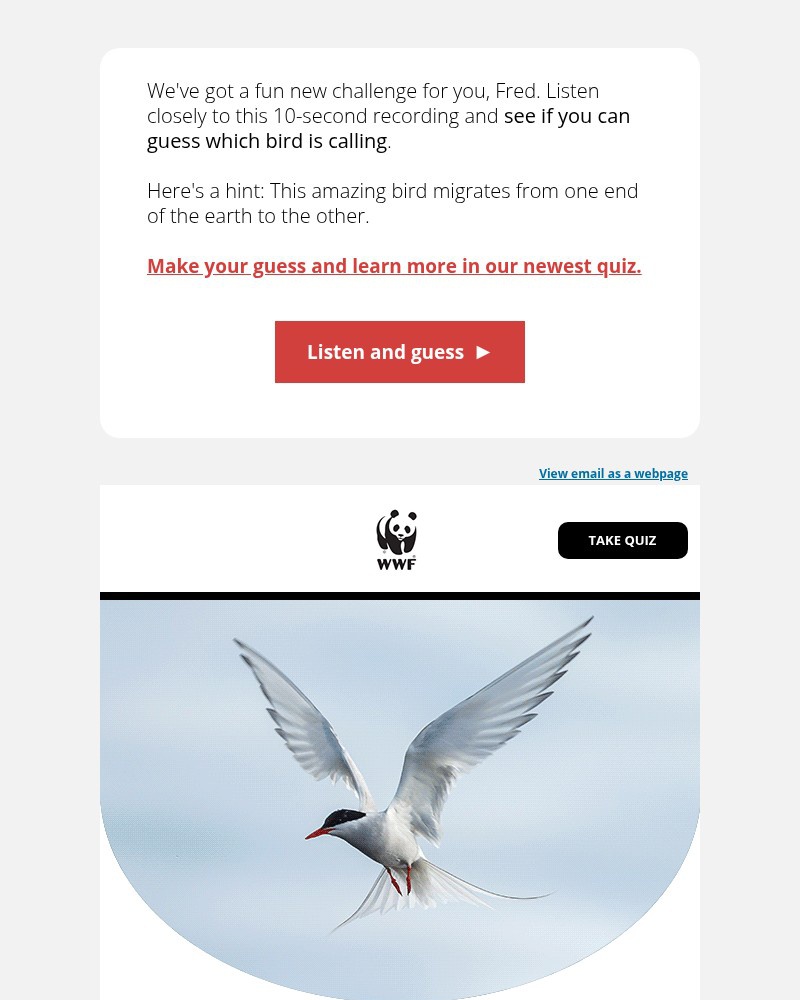 Screenshot of email with subject /media/emails/quiz-which-bird-is-this-9a1313-cropped-f7144a88.jpg