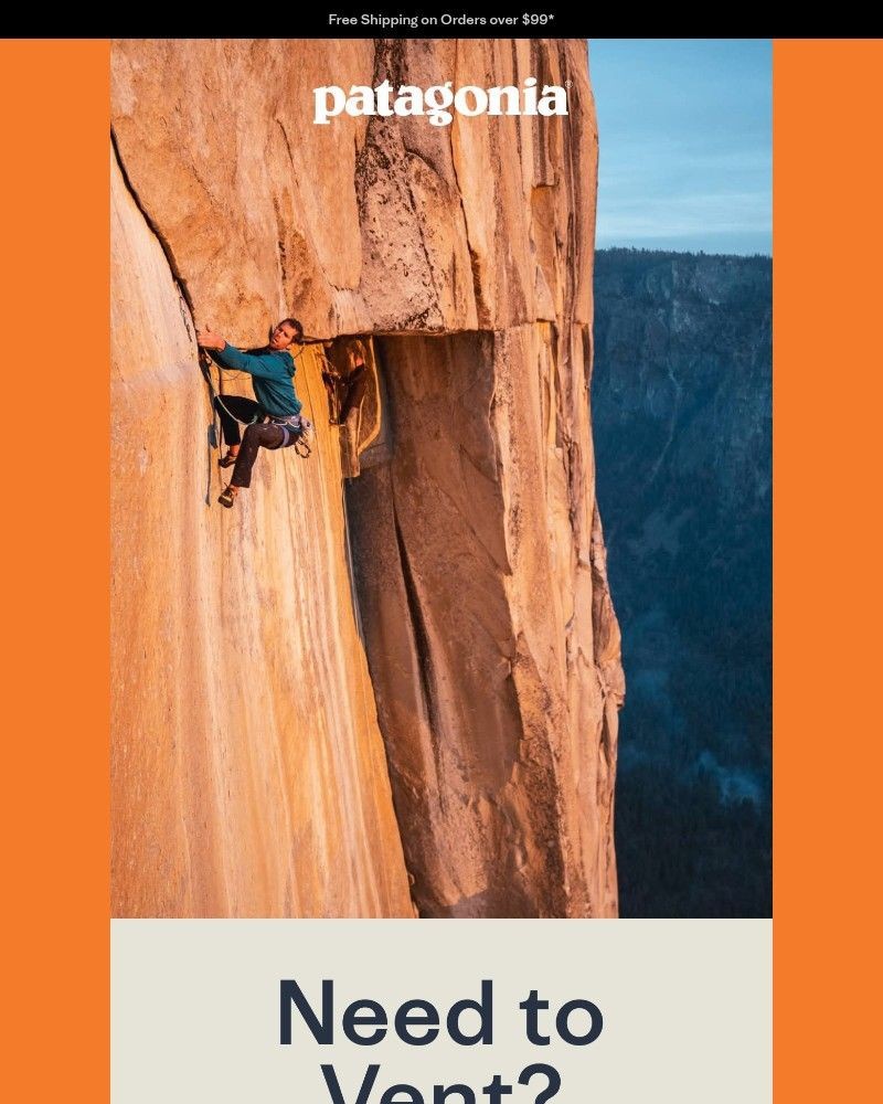 Screenshot of email sent to a Patagonia Newsletter subscriber
