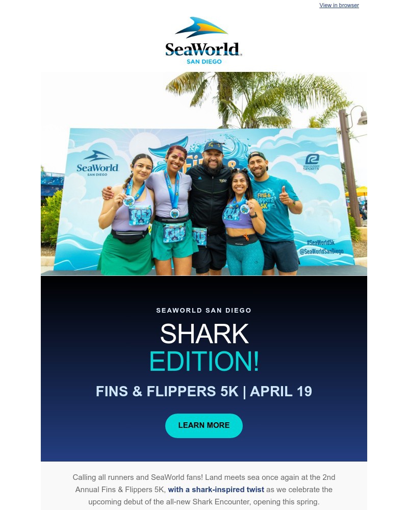 Screenshot of email sent to a Sea World Newsletter subscriber