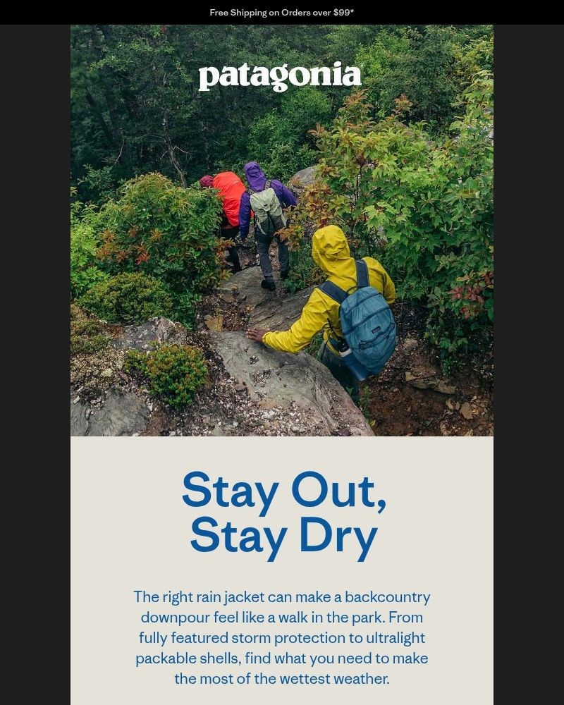 Screenshot of email sent to a Patagonia Newsletter subscriber
