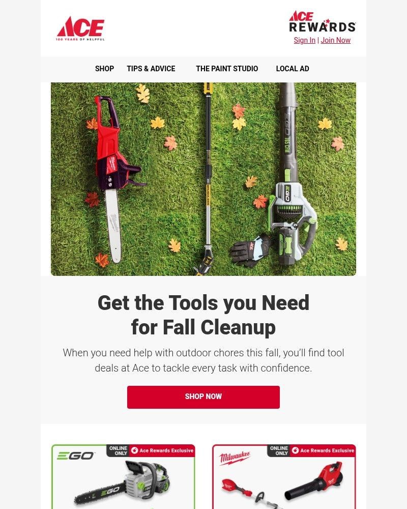 Screenshot of email with subject /media/emails/rake-in-savings-on-top-power-brands-1c489c-cropped-9406931c.jpg